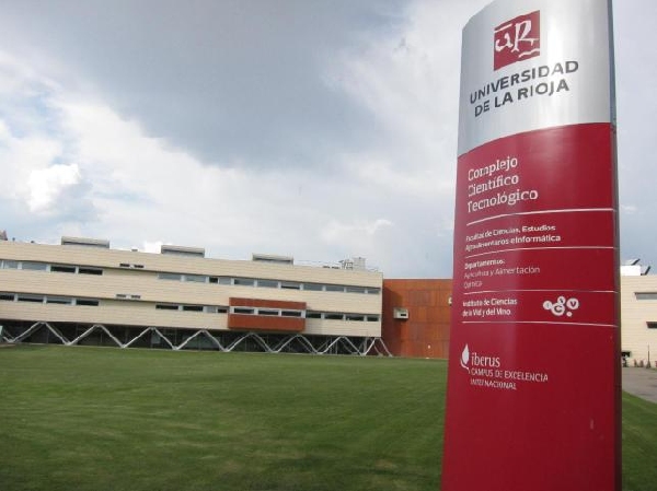 Online: Becas para Licenciaturas en varios temas OEA/Universidad Internacional de la Rioja 