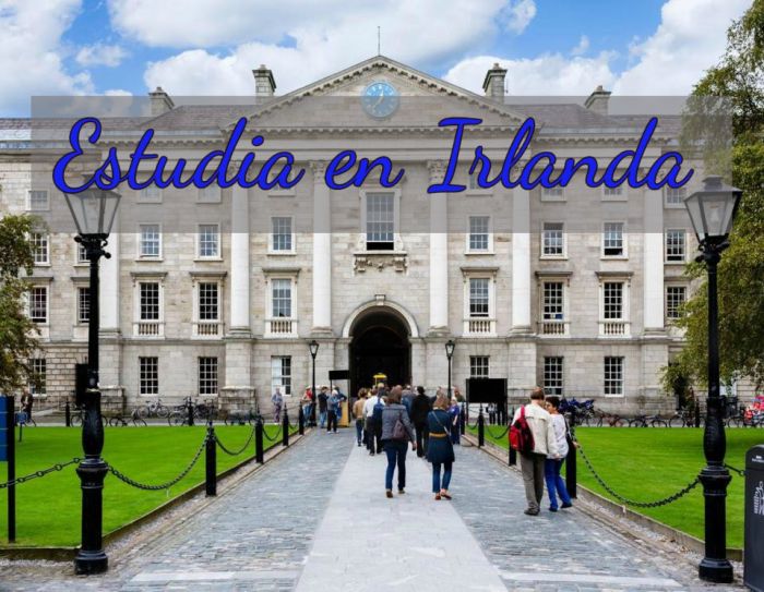 Irlanda: Beca Doctorado Educación University College Dublin