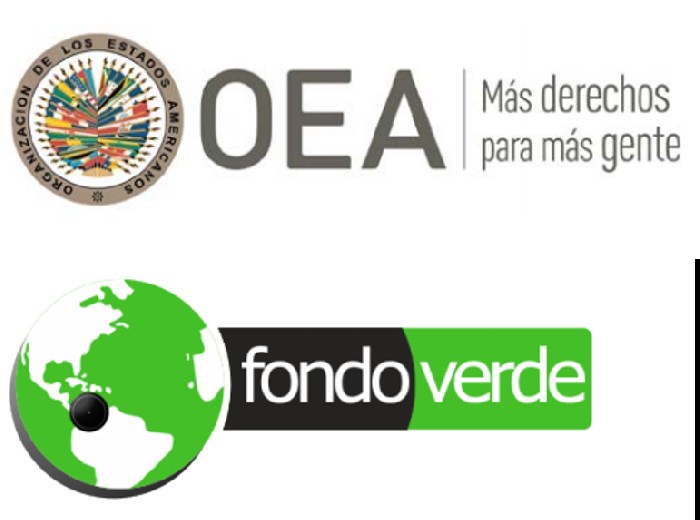 Online: Beca Curso Análisis del Paisaje OEA/Fondo Verde