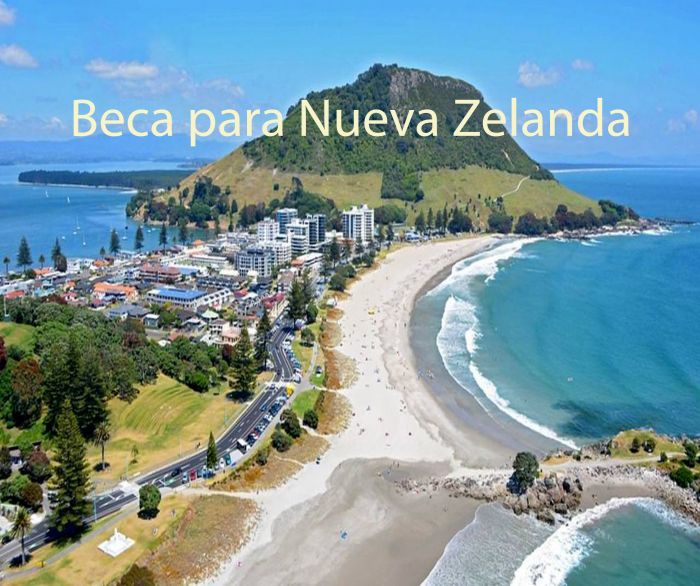 Nueva Zelanda: Beca Maestría en Biblioteconomía y Estudios de Información Universidad Victoria de Wellington