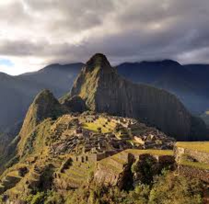 Online: Beca Curso Certificación  Profesional en Medio Ambiente Fondo Verde OEA