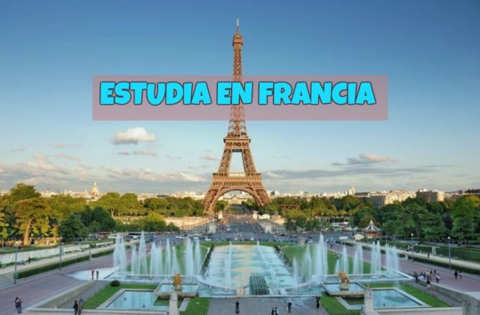 Francia: Beca Pregrado Maestría en Diversas Áreas Instituto de Estudios Políticos de París