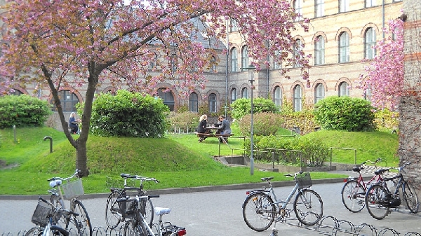 Dinamarca: Becas para Doctorado en Cardiología University of Copenhagen