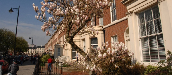 Reino Unido: Becas para Postgrado en Varios Temas Queen´s University Belfast 