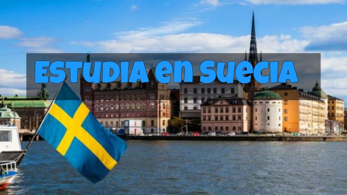 Suecia: Beca Pregrado Diversas Áreas Universidad de Karlstad