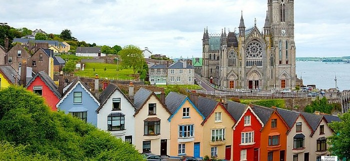 Irlanda: Beca Postdoctoral en Genómica de Salud Animal Instituto Teagasc