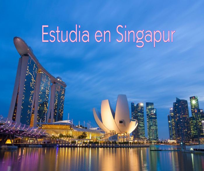 Singapur: Beca Maestría en Ciencias Integrales e Ingeniería Universidad Nacional de Singapur