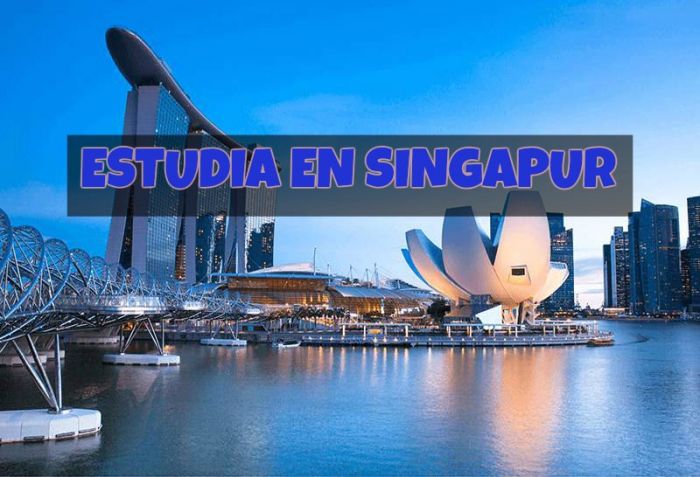 Singapur: Beca Maestría Diversas Áreas Universidad Nacional de Singapur