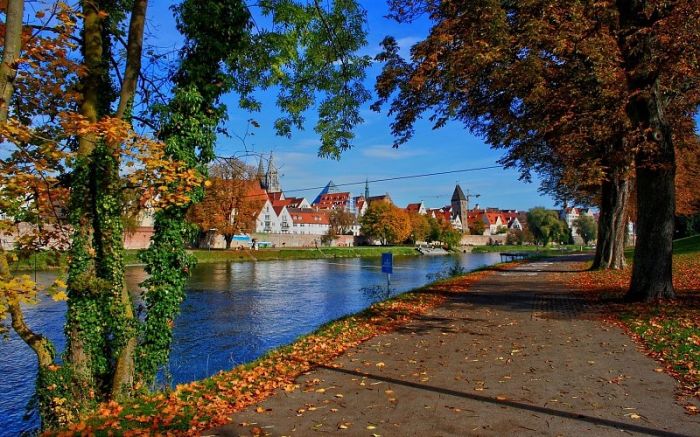 Alemania: Beca Doctorado en Diversas Áreas Universidad de Oldenburg  DAAD