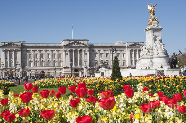 Reino Unido: Becas para Postgrado en Varios Temas University of Buckingham 