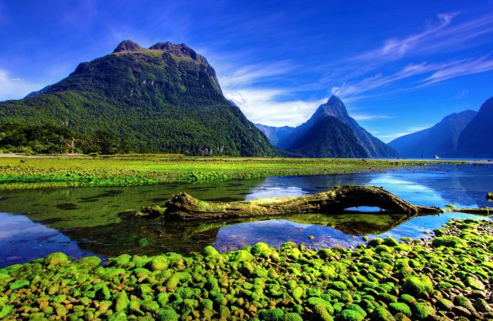 Nueva Zelanda: Beca Doctorado en Literatura Universidad de Otago