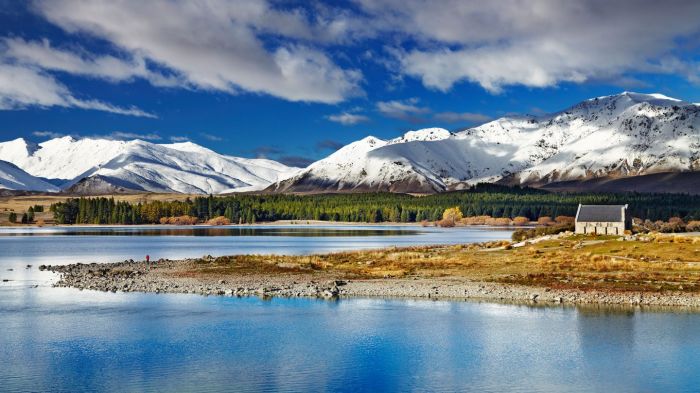 Nueva Zelanda: Beca Pregrado en Diversas Áreas Universidad de Otago