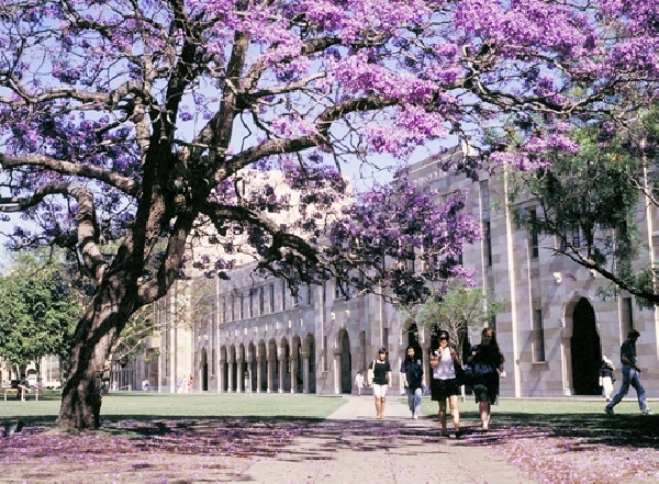 Australia: Becas para Pregrado en Ciencias University of Queensland