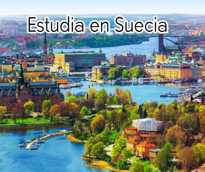 Suecia: Beca Pregrado en Diversas Áreas  Expertvalet