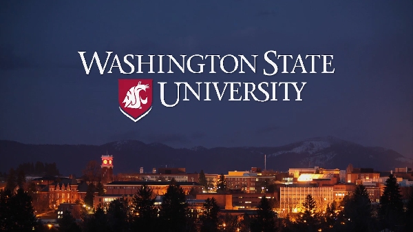 Estados Unidos: Becas para Pregrado en Varios Temas Washington State University