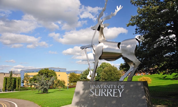 Reino Unido: Becas para Pregrado en Varios Temas University of Surrey  