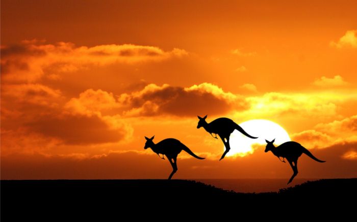 Australia: Beca Maestría en Diversas Áreas Universidad de Griffith