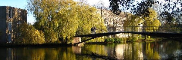 Reino Unido: Becas para Maestría en Política y Trabajo Social  University of York 