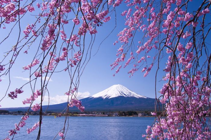 Japón: Beca Doctorado  en Ciencias de la Sostenibilidad Universidad de las Naciones Unidas