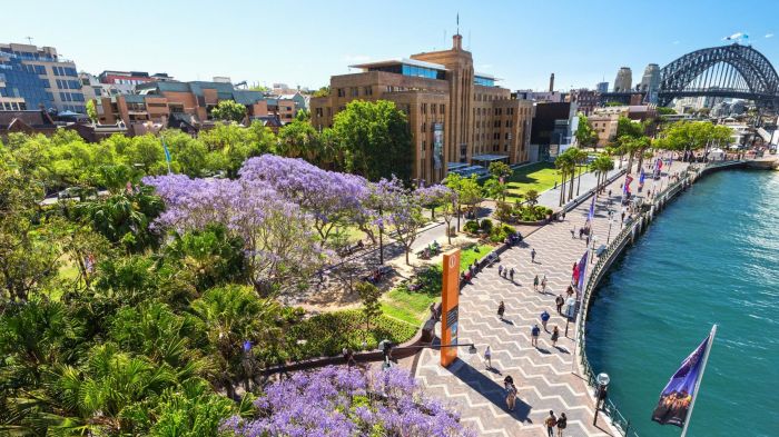 Australia: Beca Pregrado y Maestría en Diversas Áreas Southern Cross University