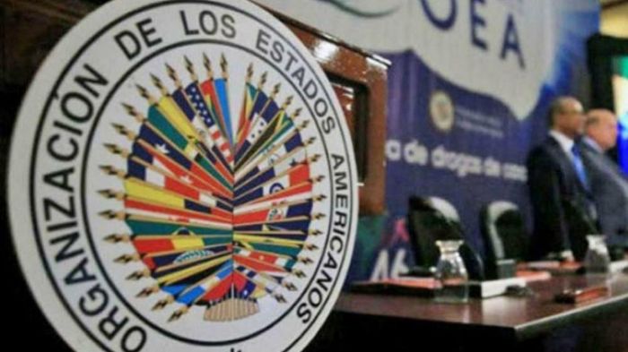 Becas OEA Informa