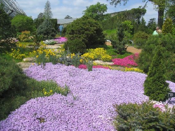 Estados Unidos: Becas de Investigación para Biogeografía y Botánica The Missouri Botanical Garden (MBG) 