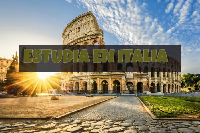 Italia: Beca Pregrado Economía y Negocios Universidad Luiss Guido Carli