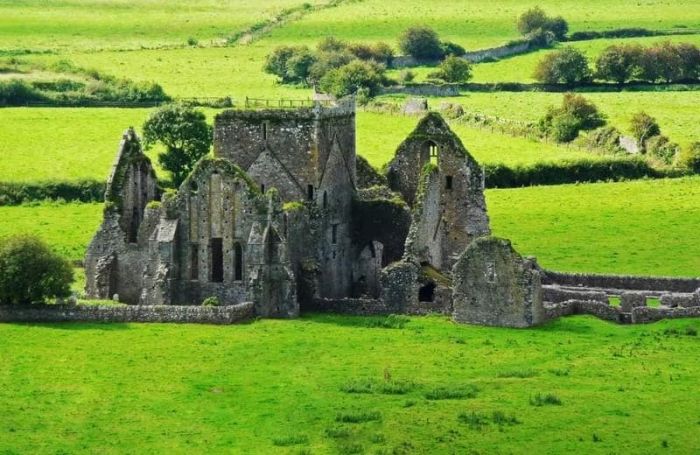 Irlanda: Beca Maestría en Diversas Áreas  UCD