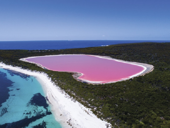 Australia: Beca Doctorado en Cuántica Microscopica e Imágenes Universidad Queensland 