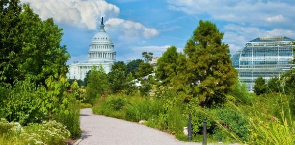 Estados Unidos: Becas para Postgrado en Derechos Humanos OEA/CIDH 