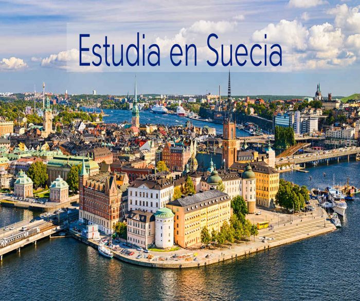 Suecia: Beca  Postdoctorado  en Economía Universidad de Umea