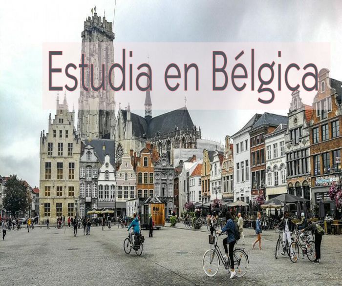 Bélgica: Beca Curso en Regulación de Telecomunicaciones Cullen International OEA