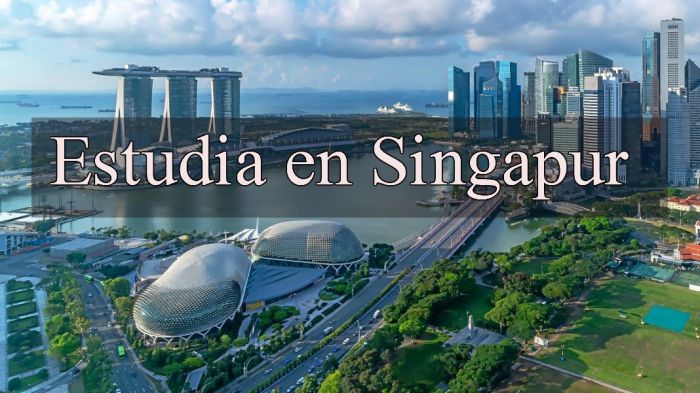 Singapur: Beca Pregrado Sistemas de Información Singapore Management University