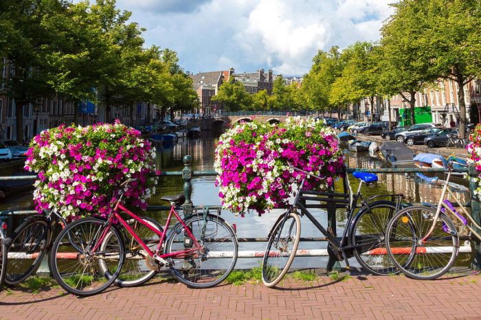 Holanda: Beca Maestría en Artes  Universidad de Radboud