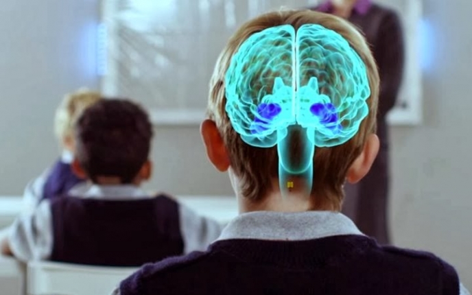 Funcionamiento del cerebro y Neuroeducación