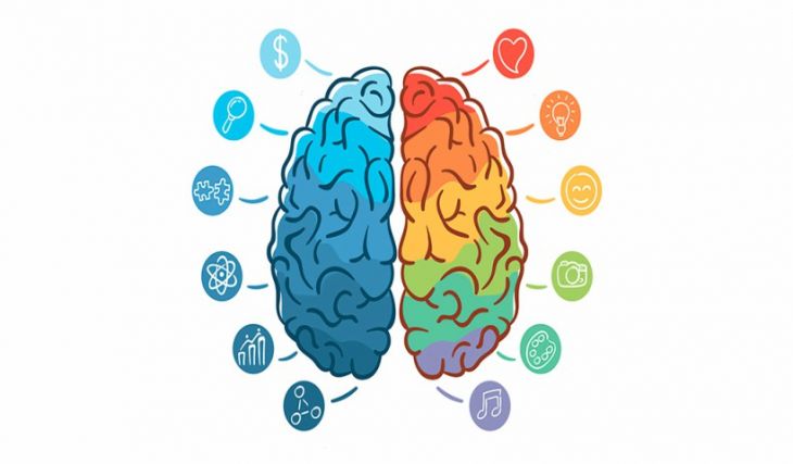 Fundamentos del Neuromarketing