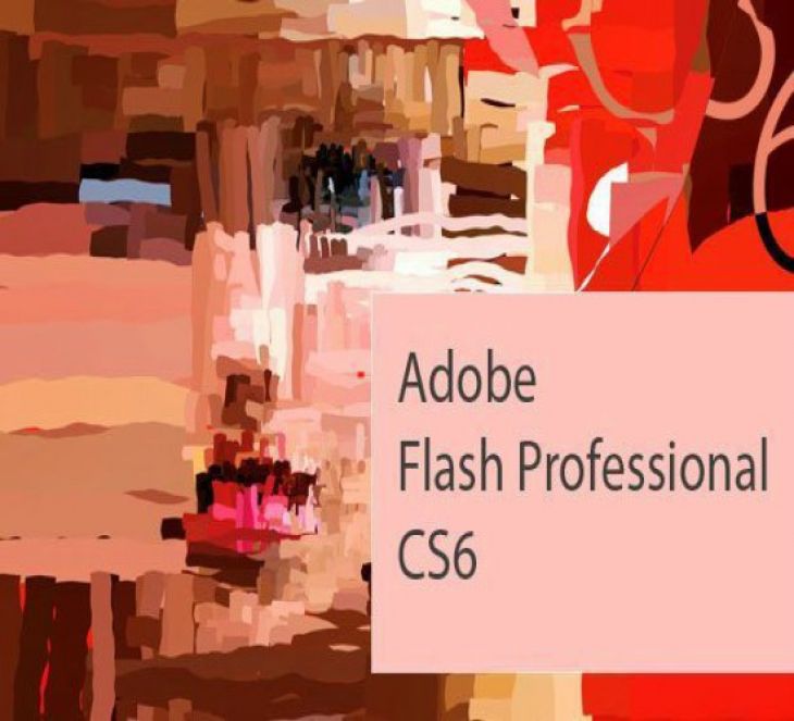 Curso Básico de Adobe Flash Professional CS6