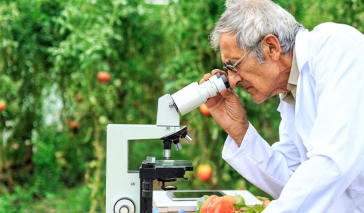 La Química en la Producción de Alimentos y Medicamentos